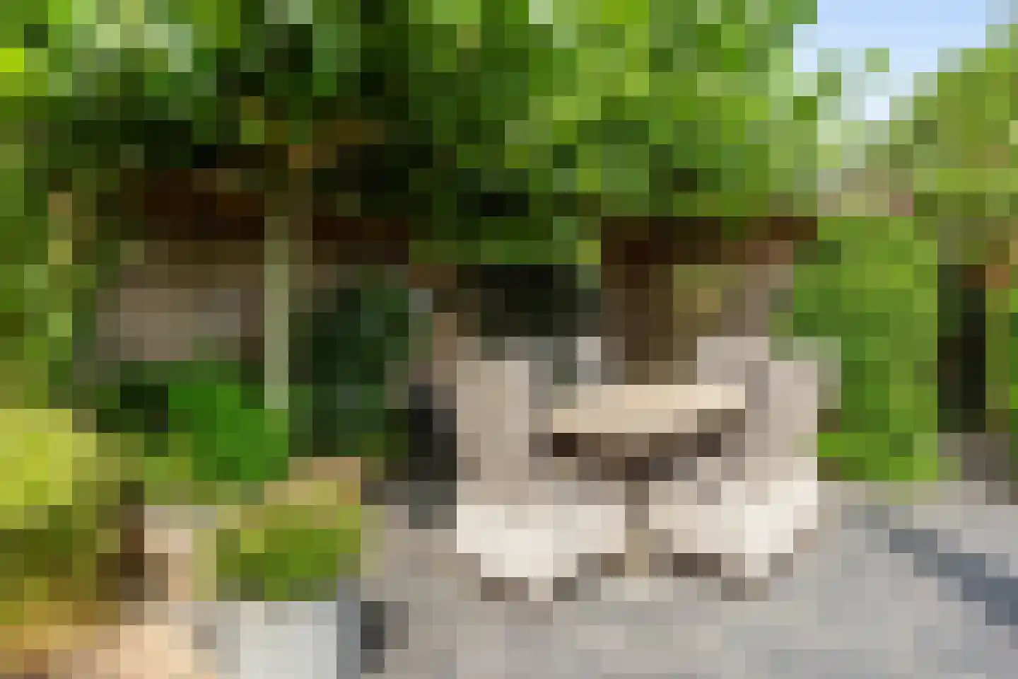 Villatuinlaan 21 Vleuten thumbnail 23