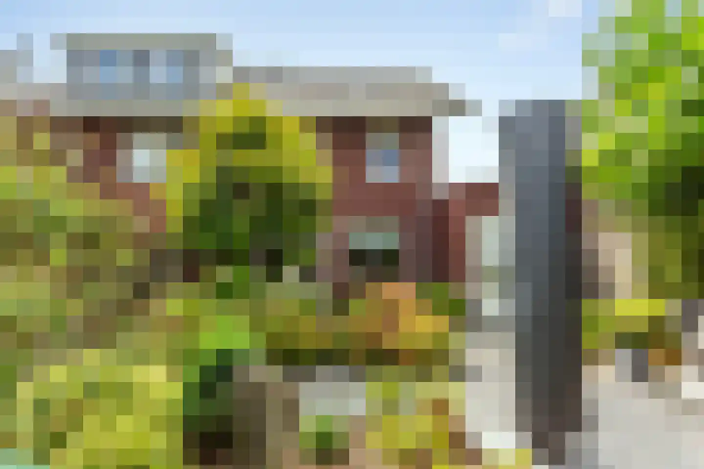 Villatuinlaan 21 Vleuten thumbnail 27