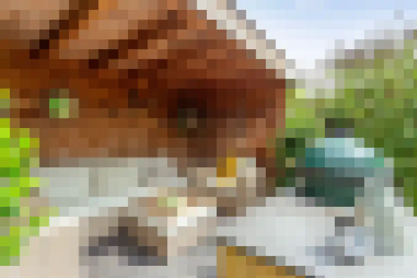 Villatuinlaan 21 Vleuten thumbnail 28