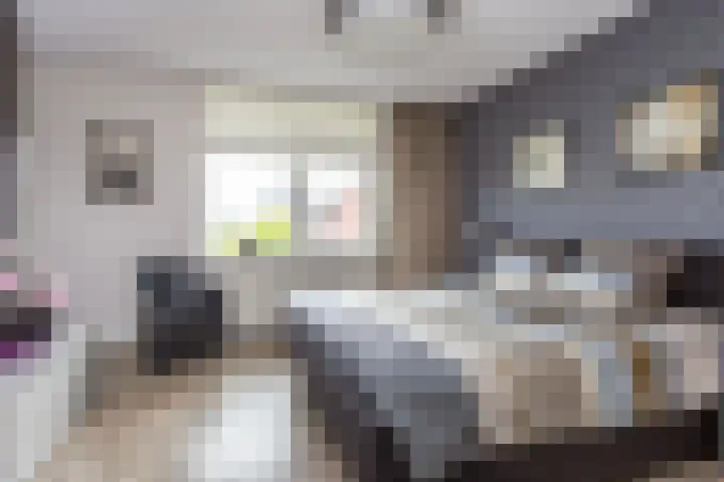 Villatuinlaan 21 Vleuten thumbnail 41