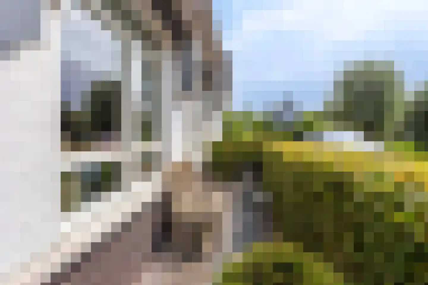 Villatuinlaan 21 Vleuten thumbnail 55