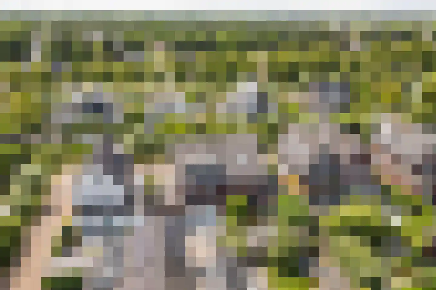 Villatuinlaan 21 Vleuten thumbnail 60