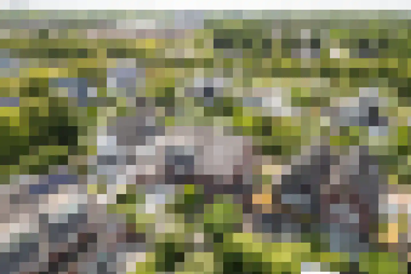 Villatuinlaan 21 Vleuten thumbnail 61