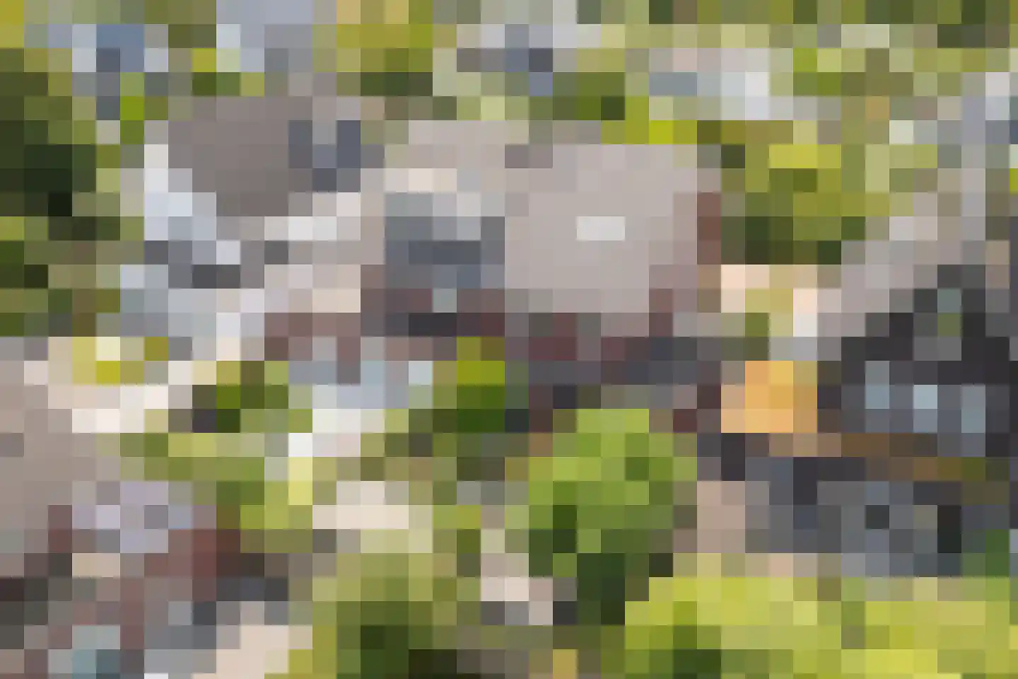 Villatuinlaan 21 Vleuten thumbnail 62