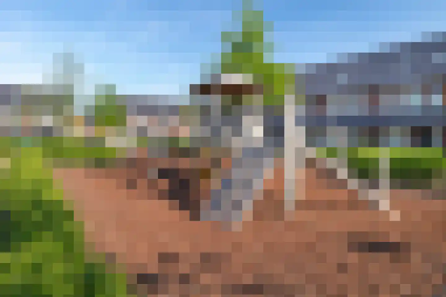 Villatuinlaan 21 Vleuten thumbnail 66