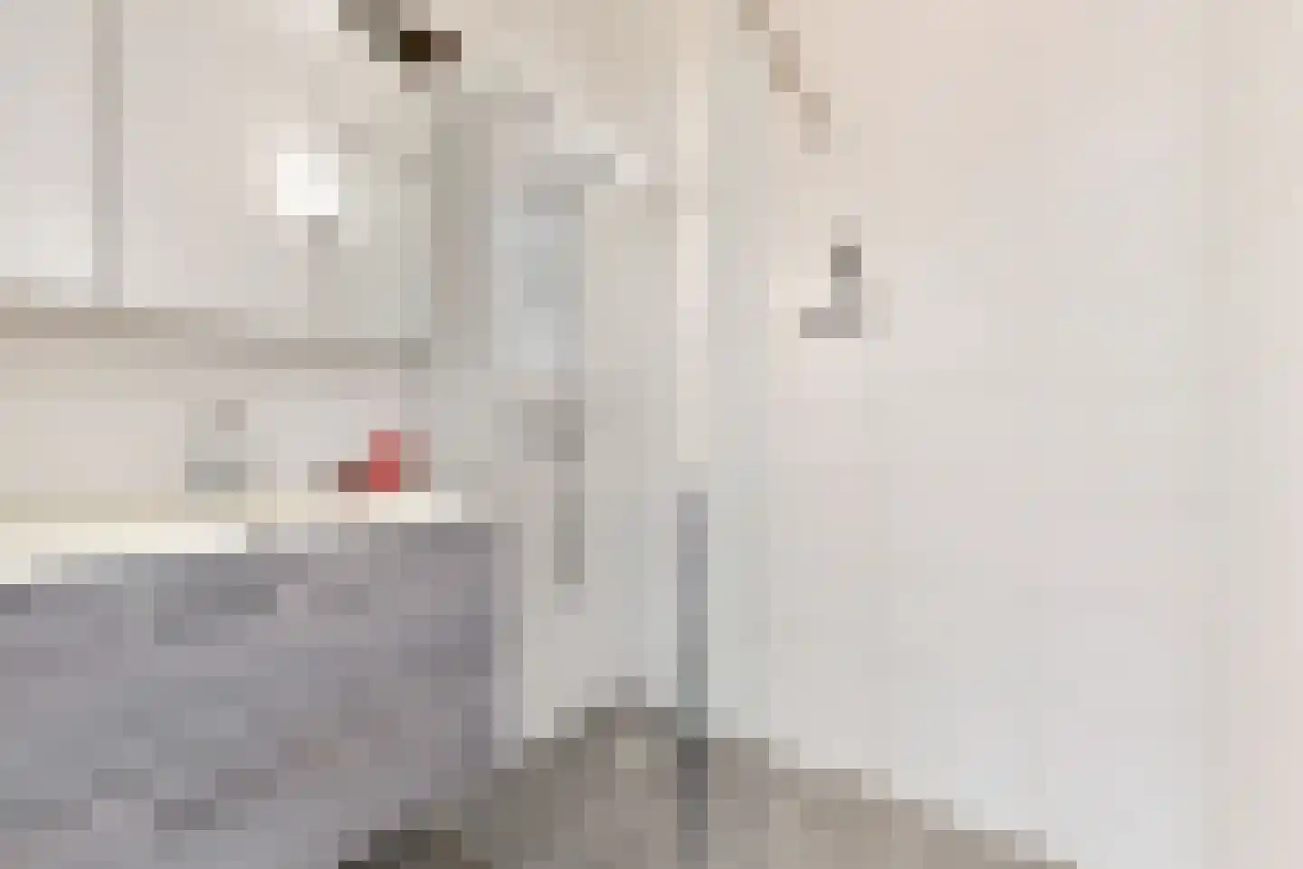 Villawal 12 Nieuwegein thumbnail 12