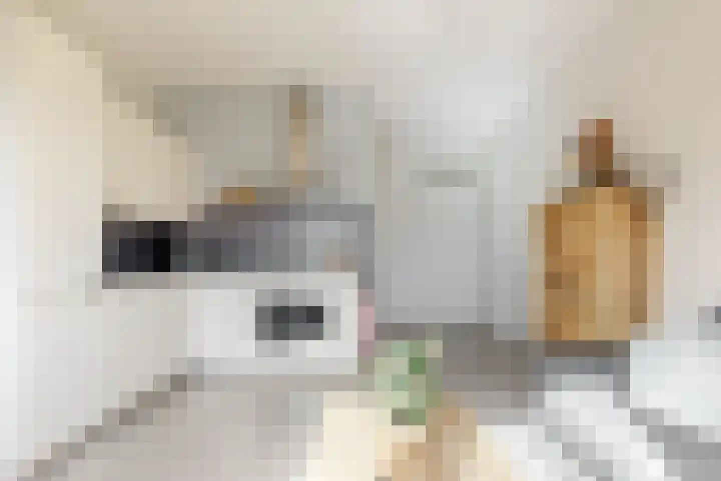 Villawal 12 Nieuwegein thumbnail 8