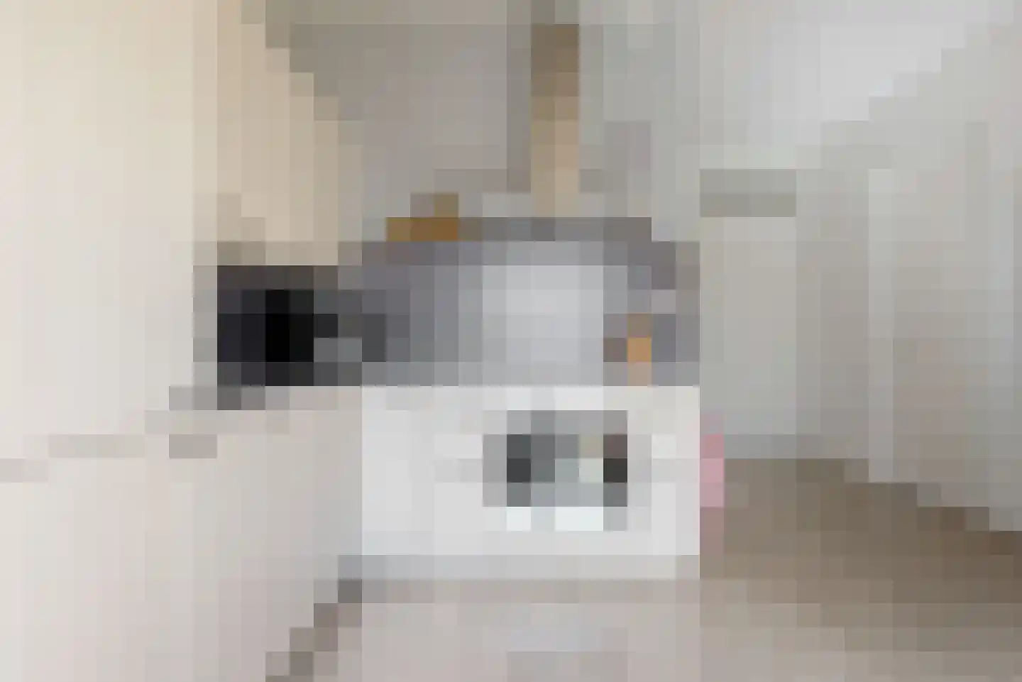 Villawal 12 Nieuwegein thumbnail 9