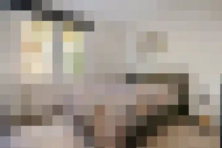 Villawal 20 Nieuwegein thumbnail 17