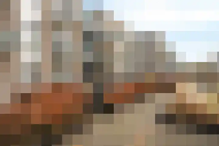 Villawal 20 Nieuwegein thumbnail 7