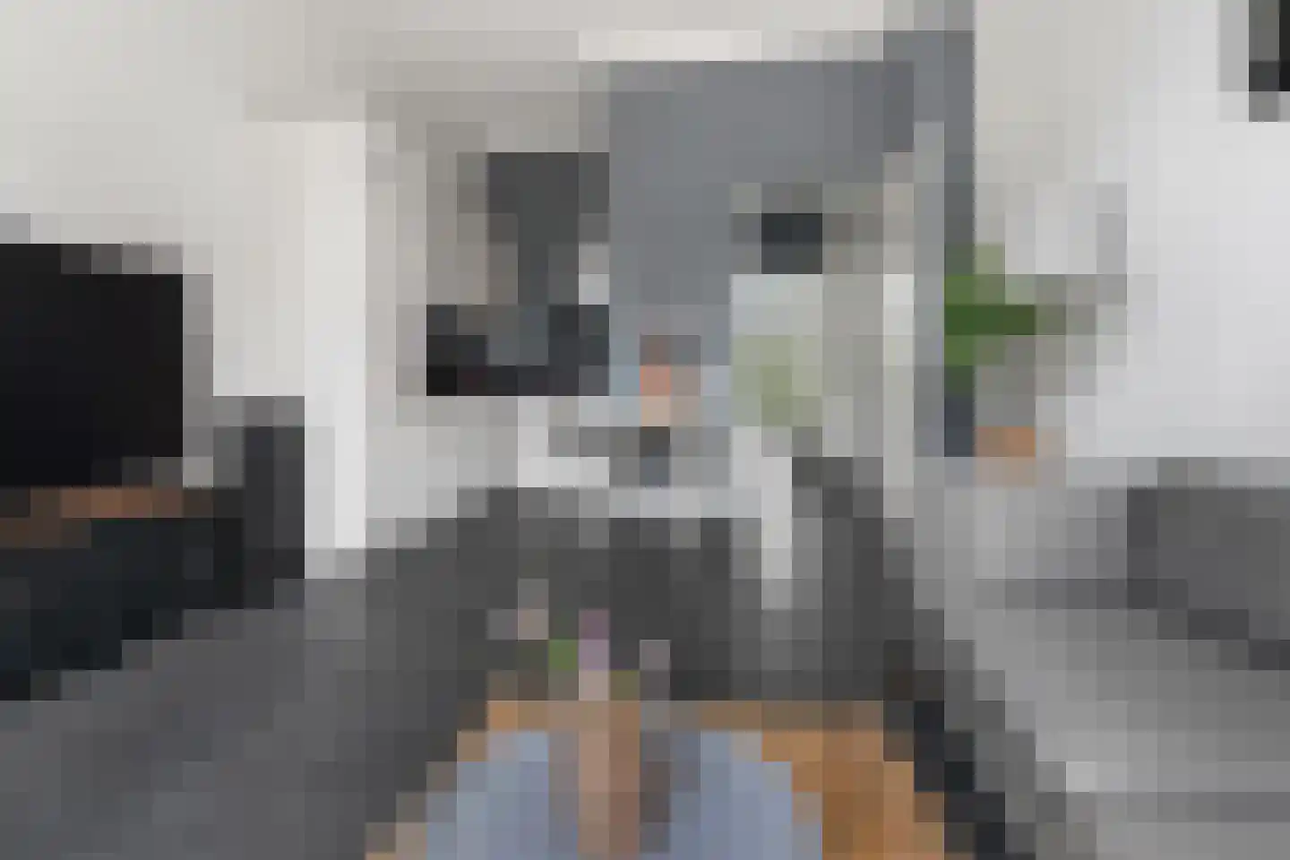 Villawal 26 Nieuwegein thumbnail 10