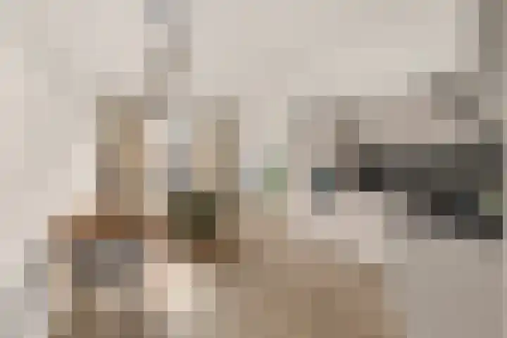 Villawal 36 Nieuwegein thumbnail 6