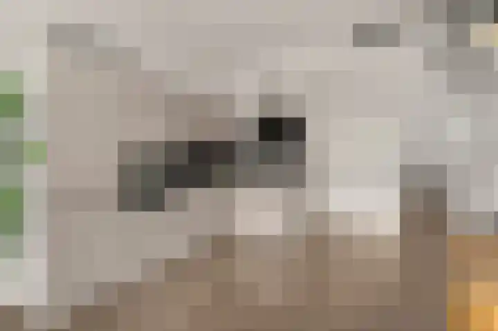 Villawal 36 Nieuwegein thumbnail 8