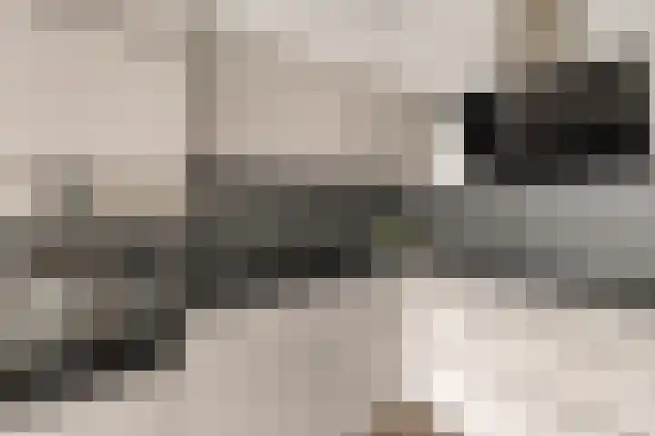 Villawal 36 Nieuwegein thumbnail 9