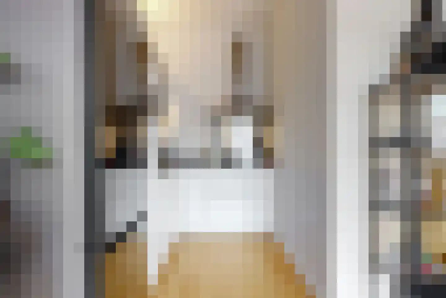 Villawal 50 Nieuwegein thumbnail 8