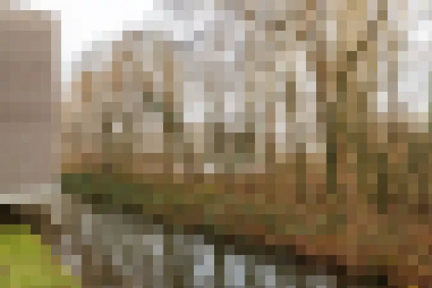 Villawal 54 Nieuwegein thumbnail 22