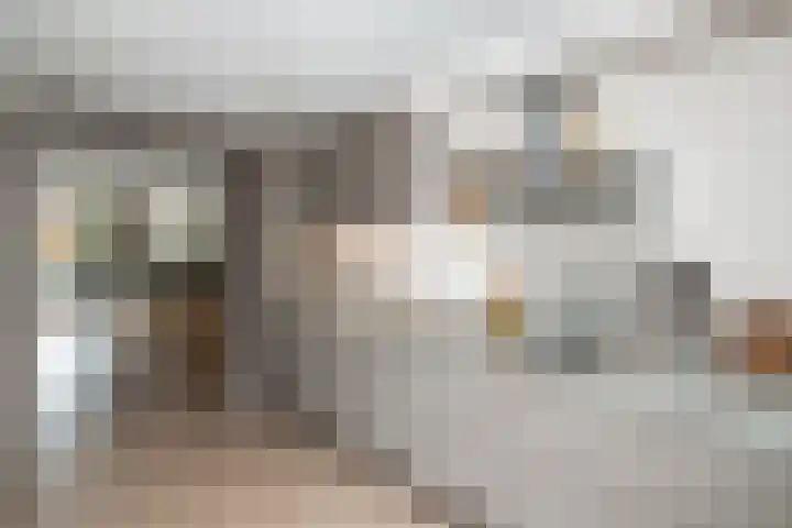 Vilmos Huszárstraat 20 Rotterdam thumbnail 5