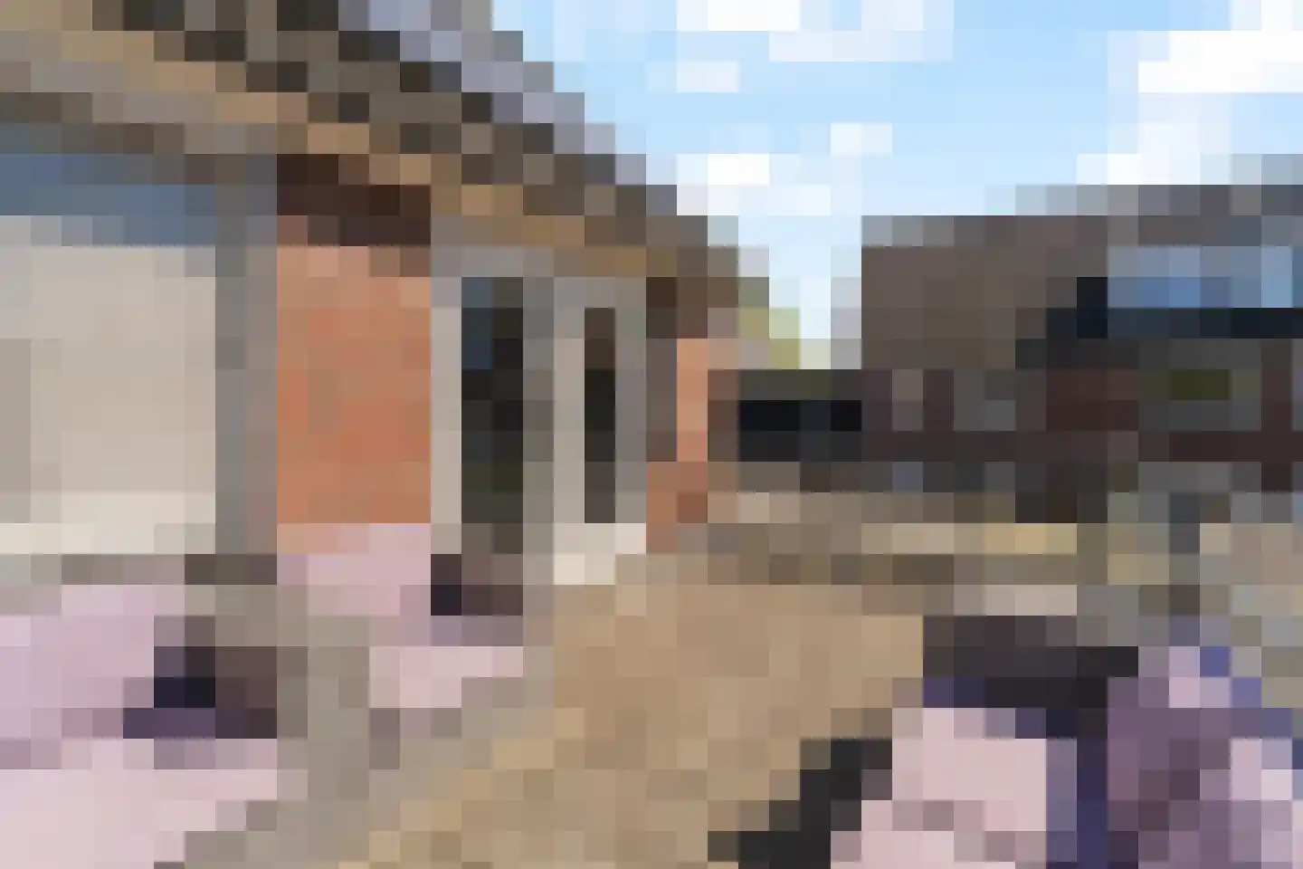 Vilmos Huszárstraat 27 Rotterdam thumbnail 21