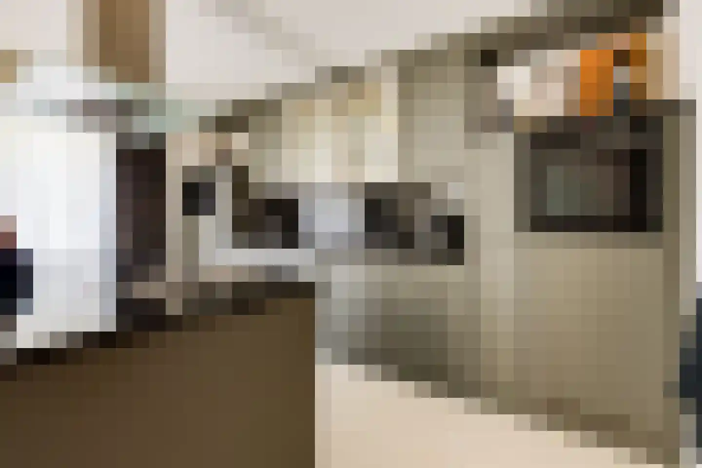 Vilsterborg 3 Holtheme thumbnail 13