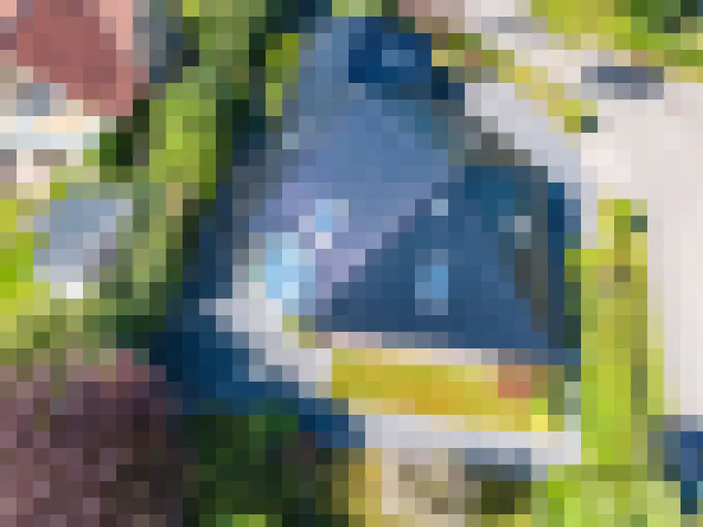 Vilsterborg 3 Holtheme thumbnail 52