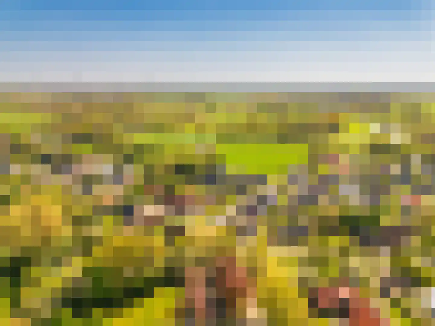Vilsterborg 3 Holtheme thumbnail 57