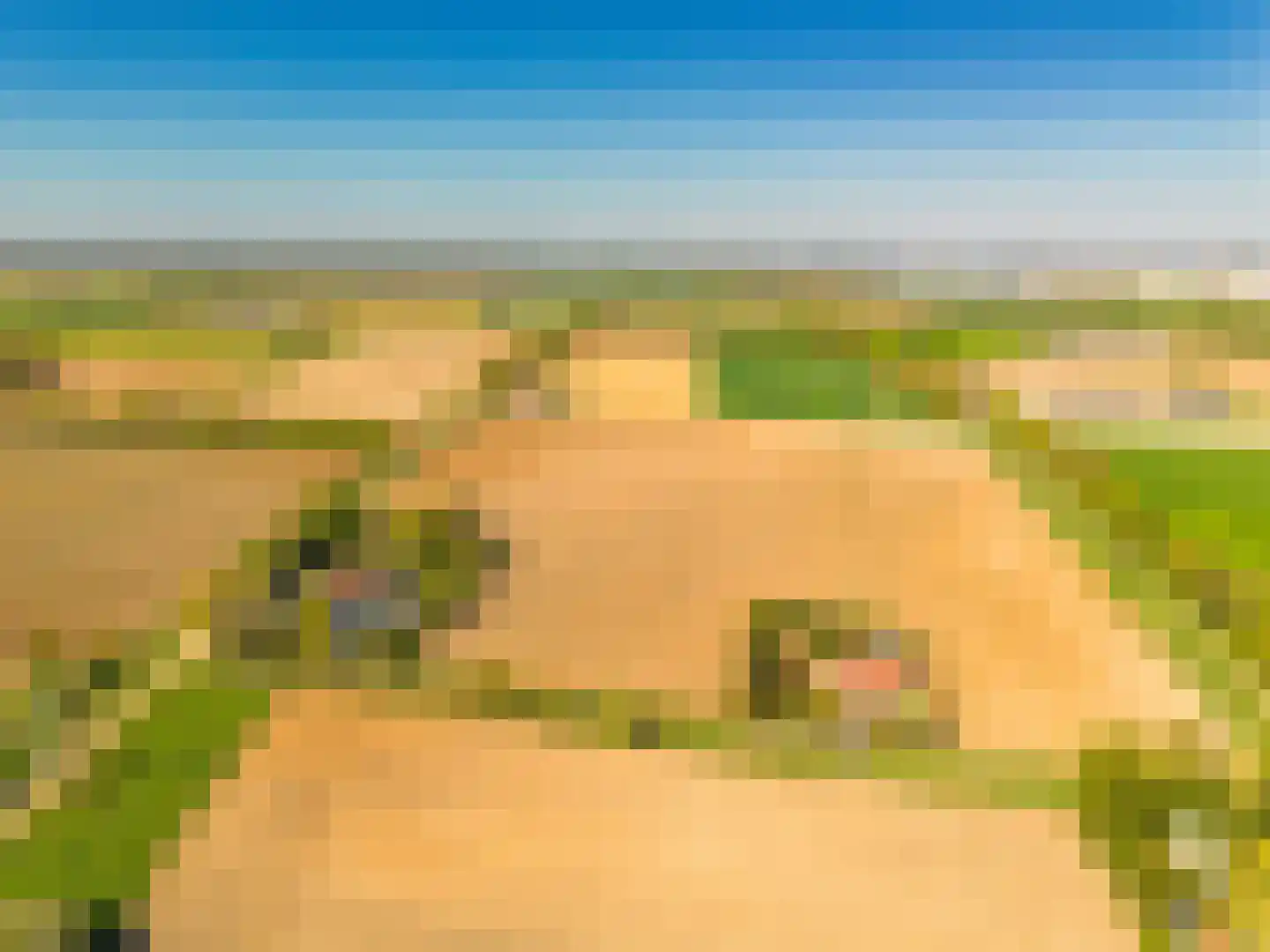 Vilsterborg 3 Holtheme thumbnail 59