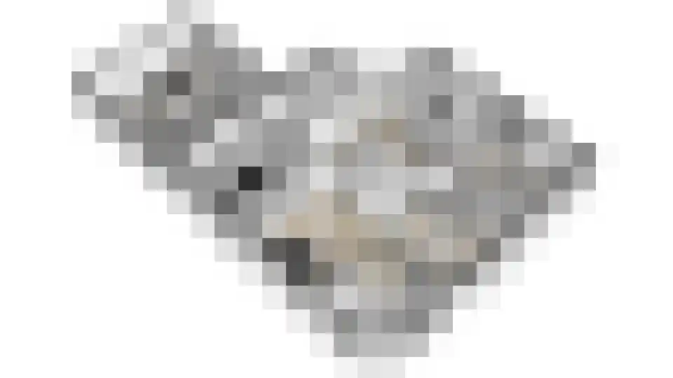 Vilsterborg 3 Holtheme thumbnail 61