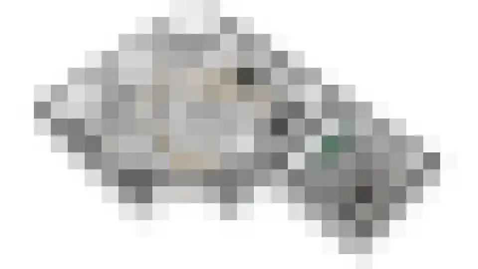Vilsterborg 3 Holtheme thumbnail 62
