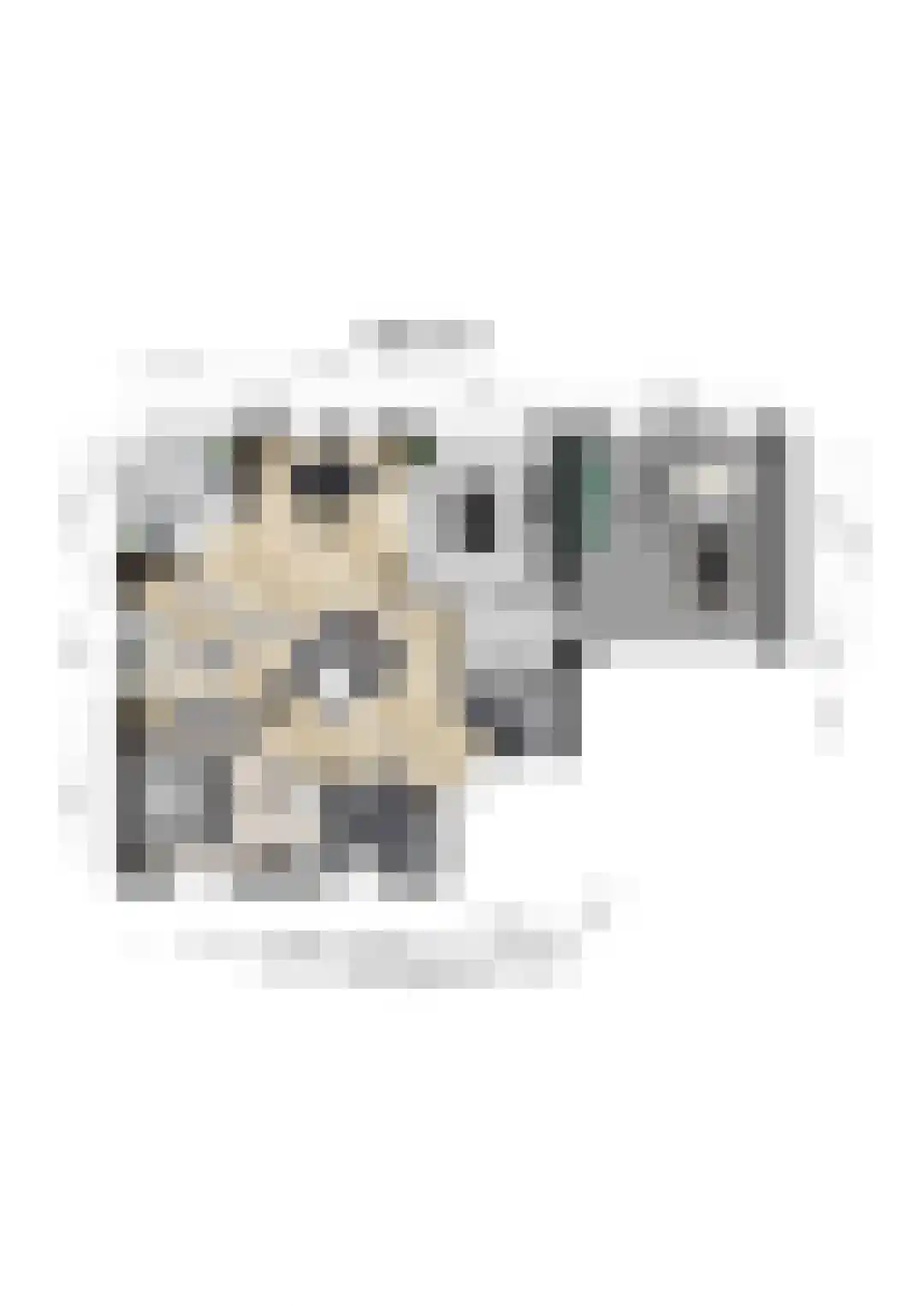 Vilsterborg 3 Holtheme thumbnail 63