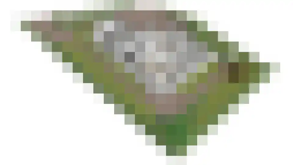 Vilsterborg 3 Holtheme thumbnail 67
