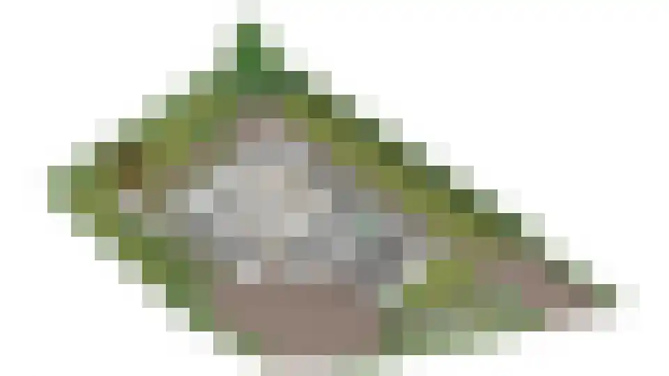 Vilsterborg 3 Holtheme thumbnail 68