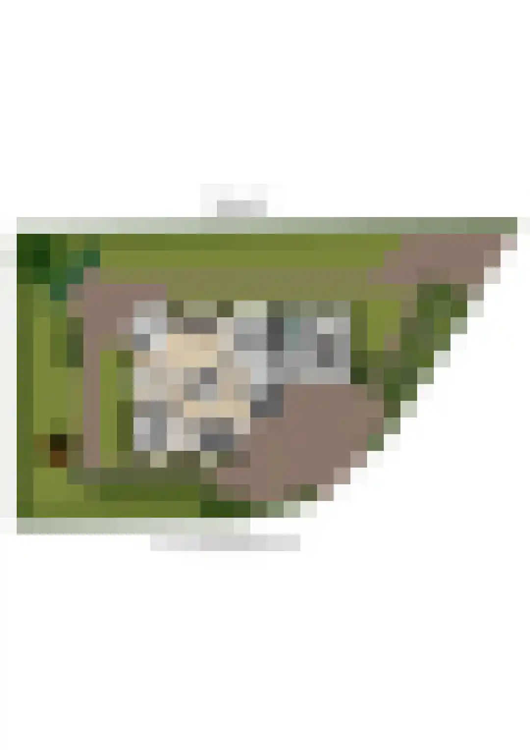 Vilsterborg 3 Holtheme thumbnail 69