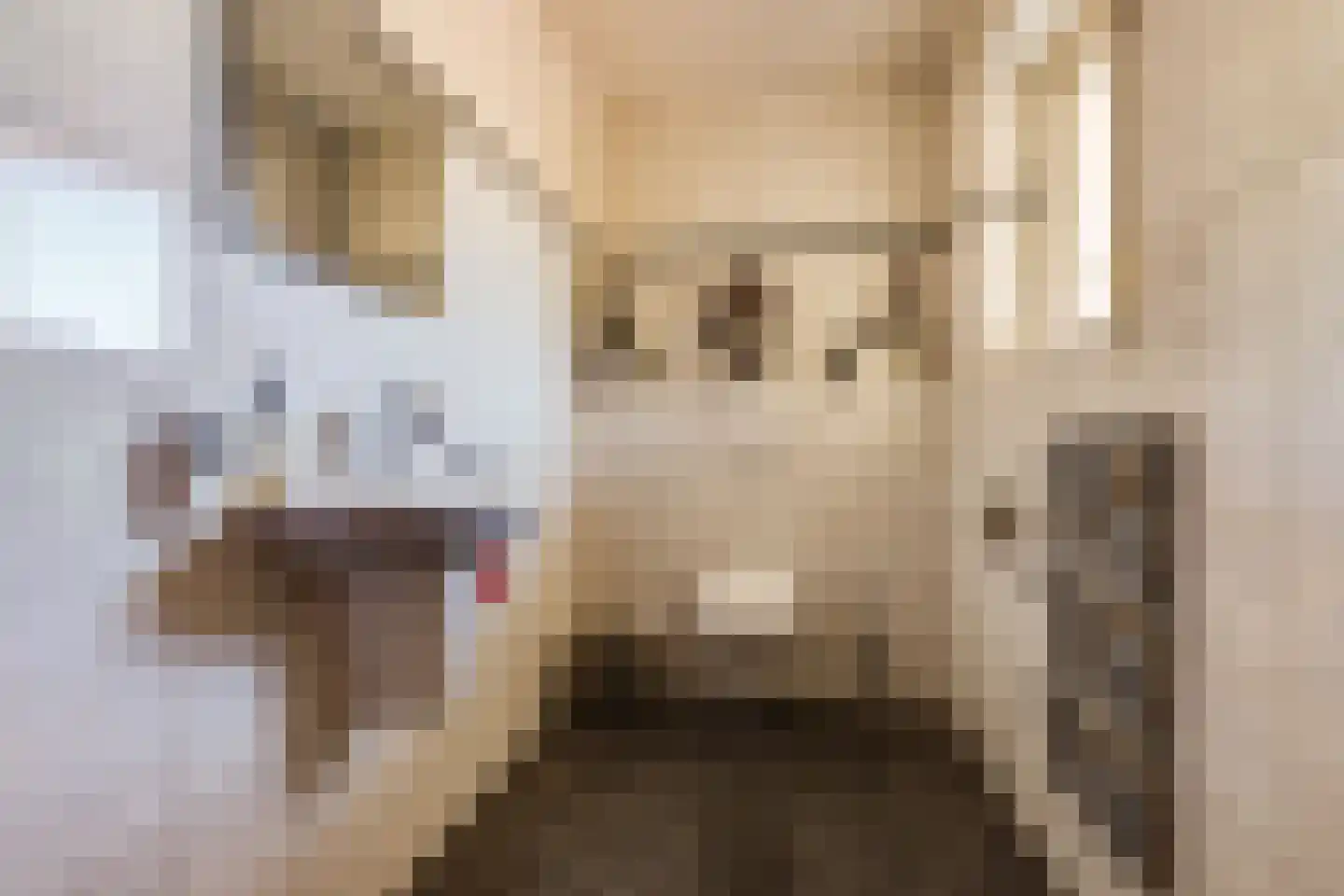 Vilsterborg 3 Holtheme thumbnail 7