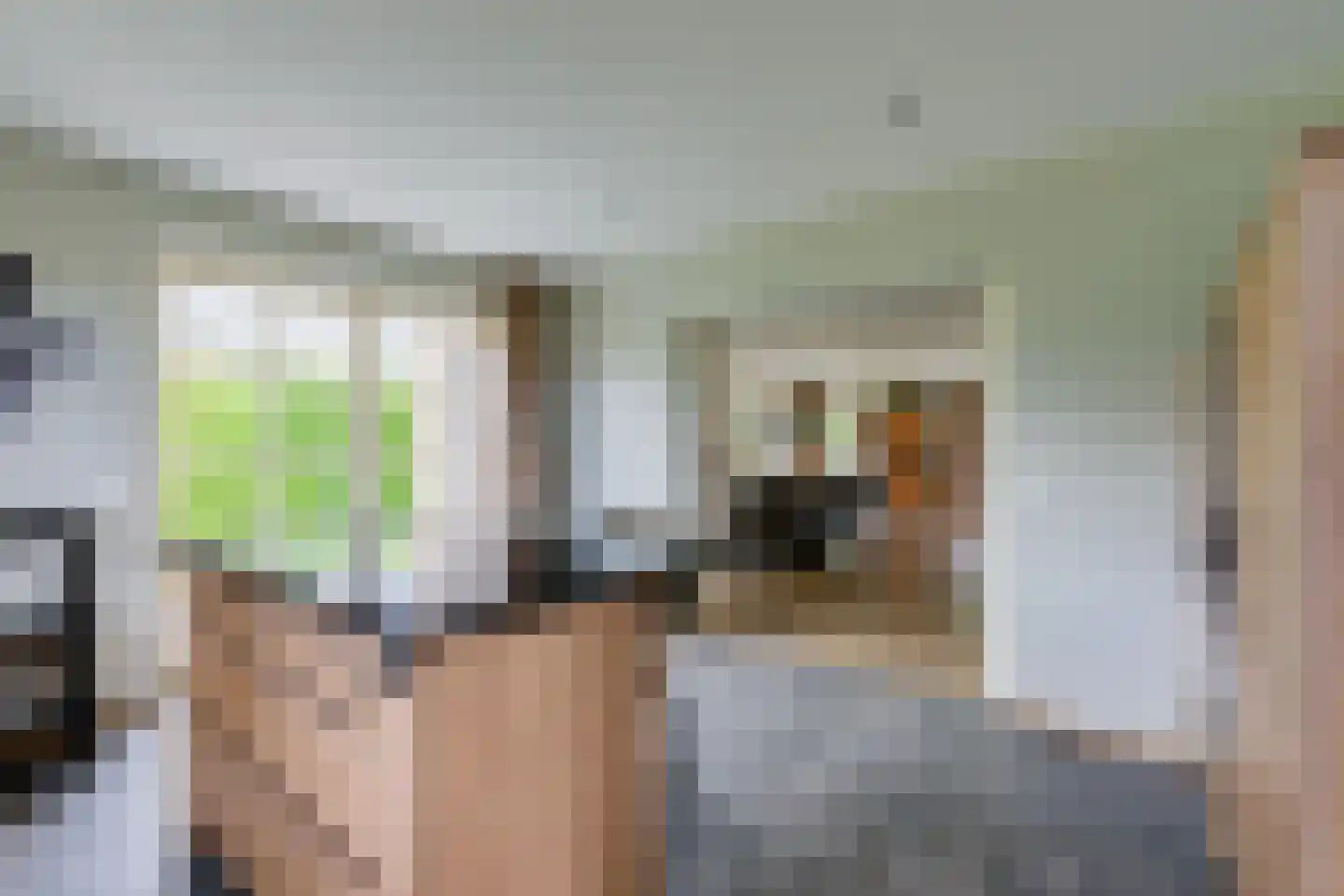 Vilsterborg 4 Holtheme thumbnail 20