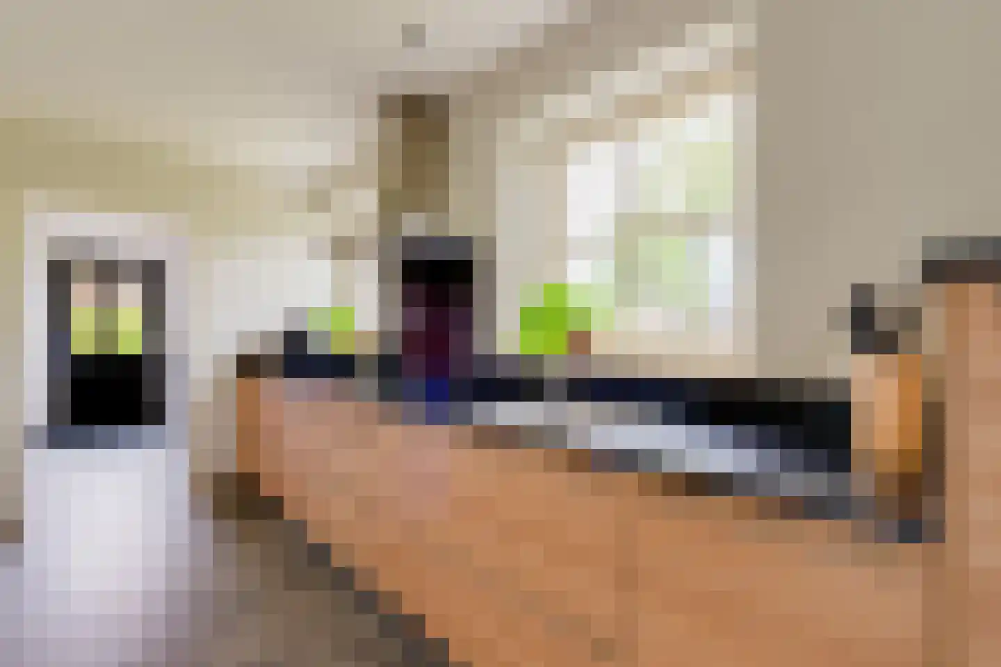 Vilsterborg 4 Holtheme thumbnail 22
