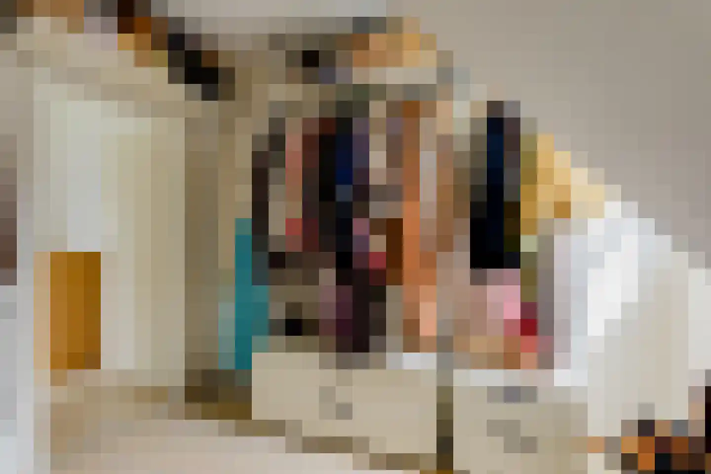Vilsterborg 4 Holtheme thumbnail 30