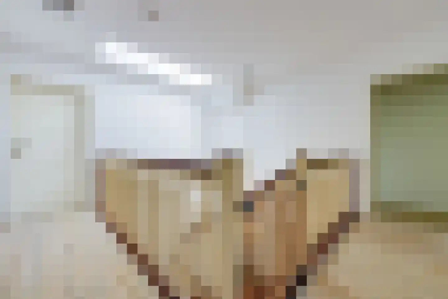 Vilsterborg 4 Holtheme thumbnail 41