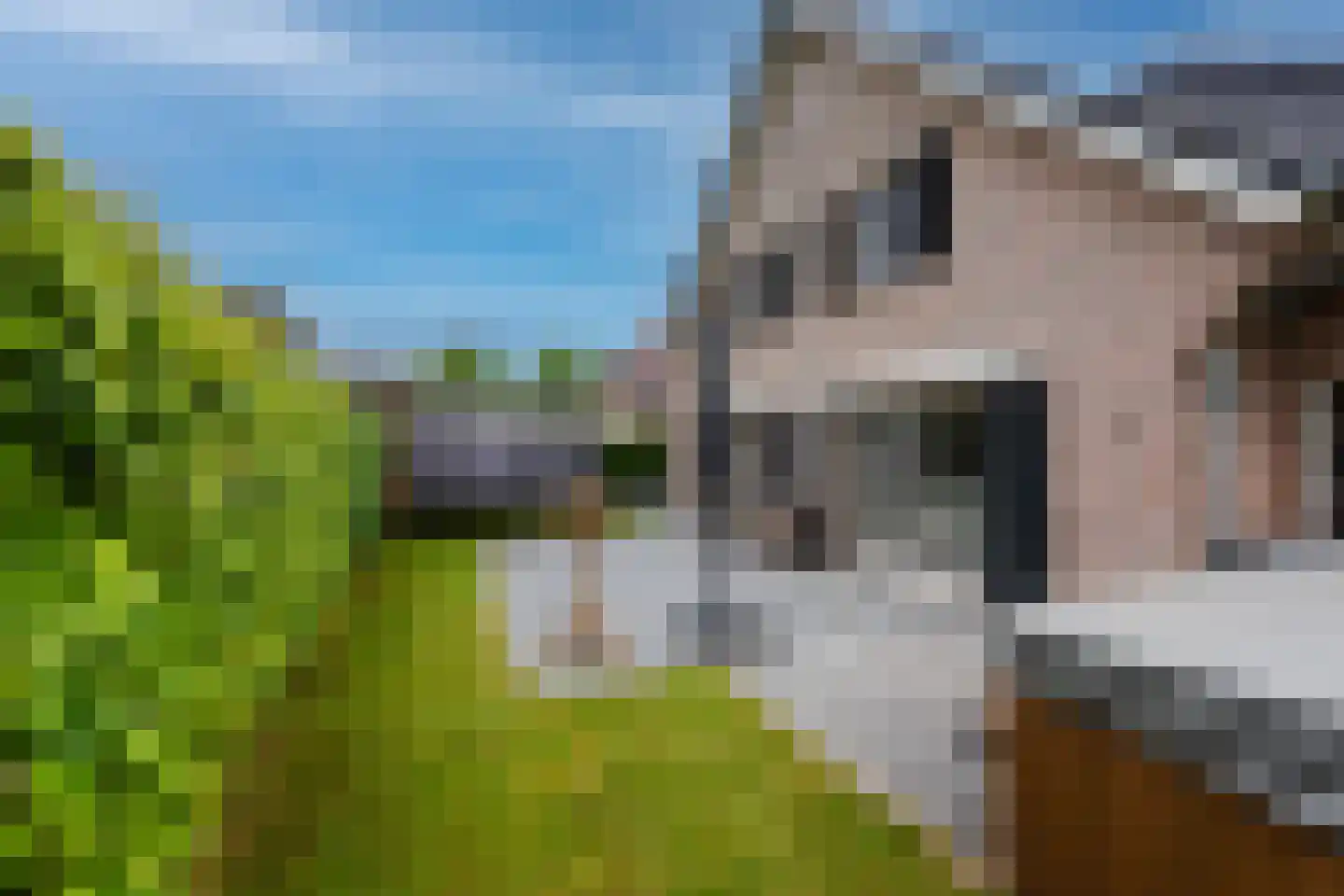 Vilsterborg 4 Holtheme thumbnail 52