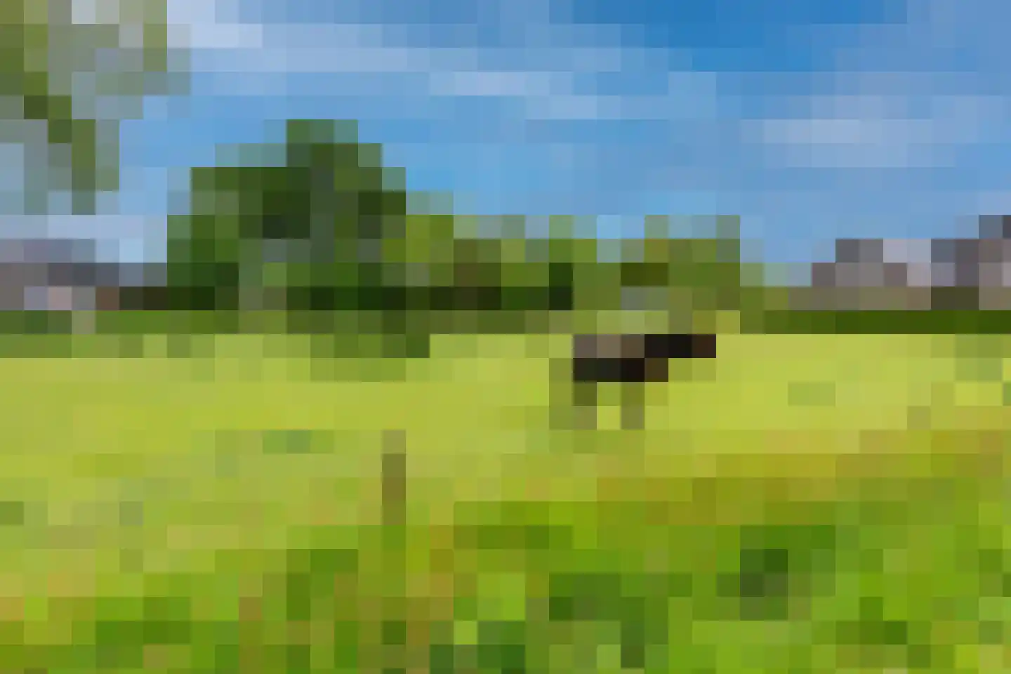 Vilsterborg 4 Holtheme thumbnail 60