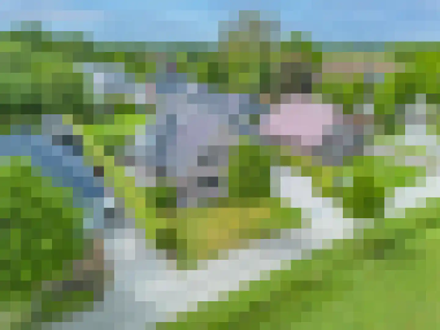 Vilsterborg 4 Holtheme thumbnail 63