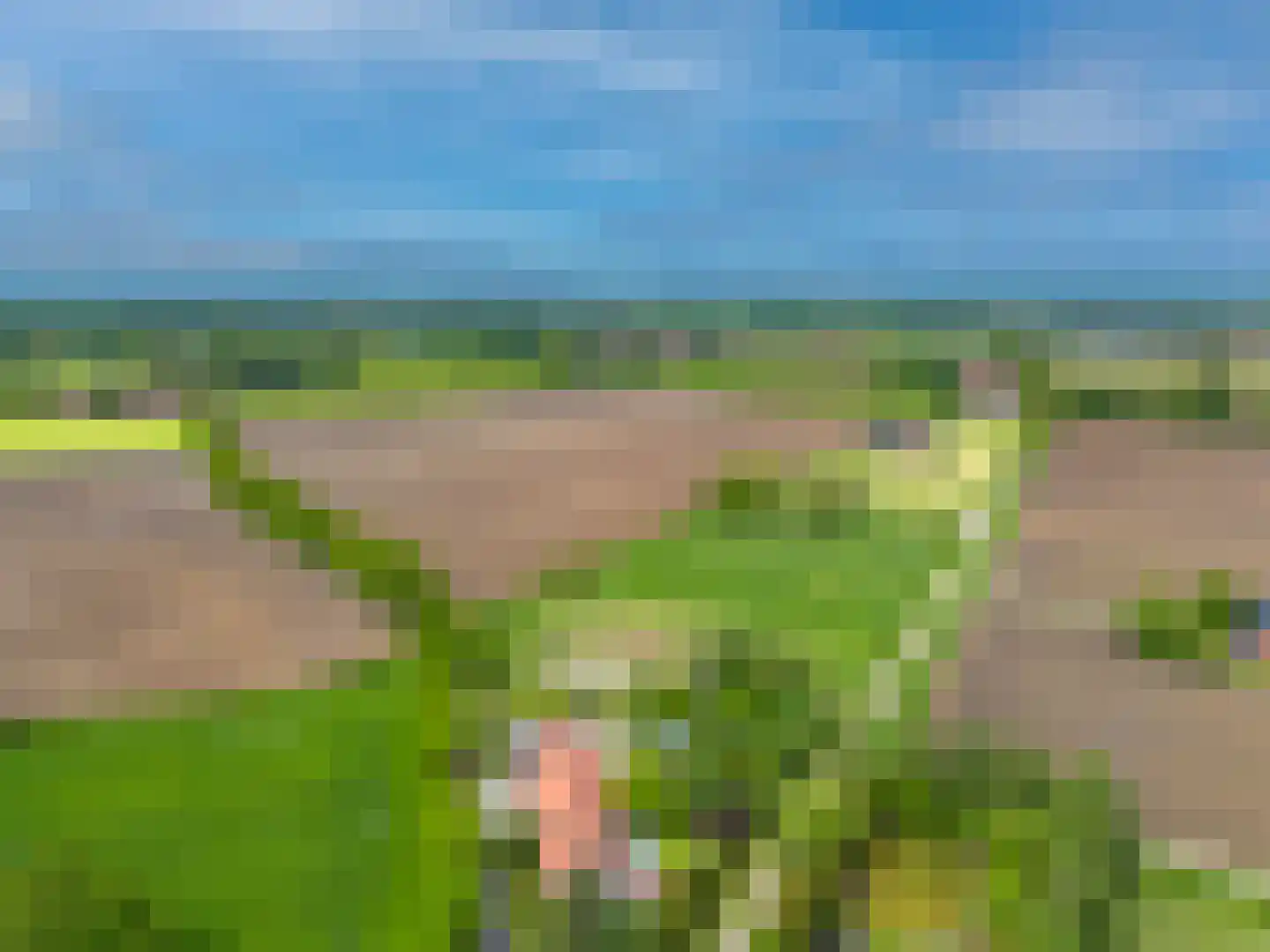 Vilsterborg 4 Holtheme thumbnail 68