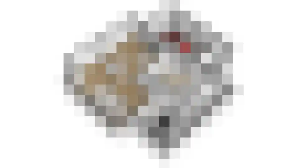 Vilsterborg 4 Holtheme thumbnail 78