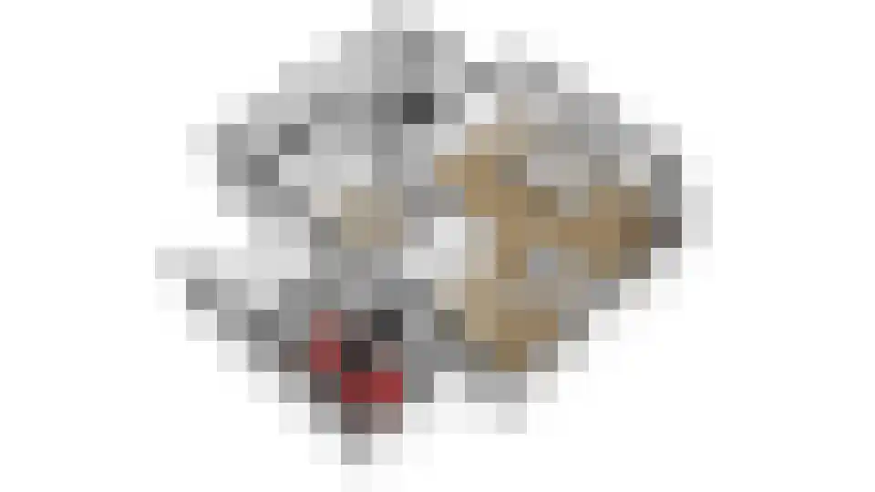 Vilsterborg 4 Holtheme thumbnail 79
