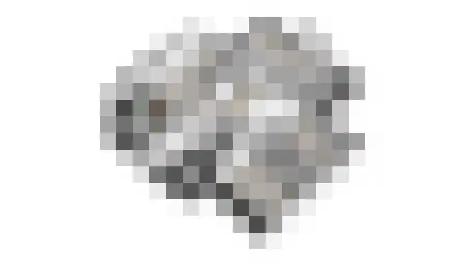 Vilsterborg 4 Holtheme thumbnail 81