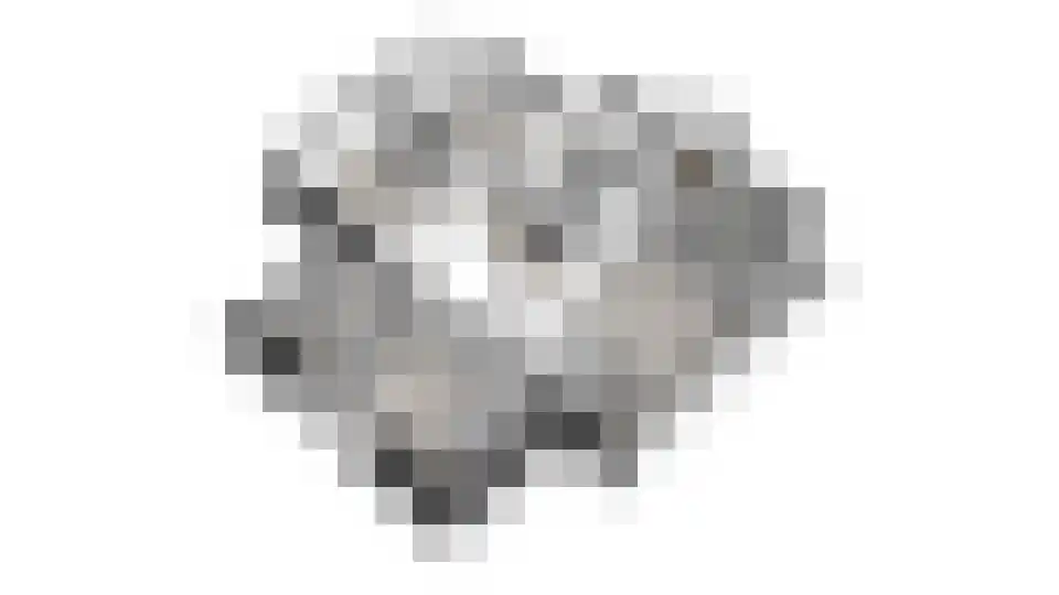 Vilsterborg 4 Holtheme thumbnail 82