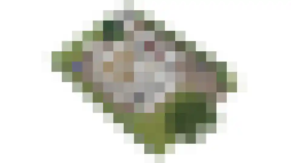 Vilsterborg 4 Holtheme thumbnail 84
