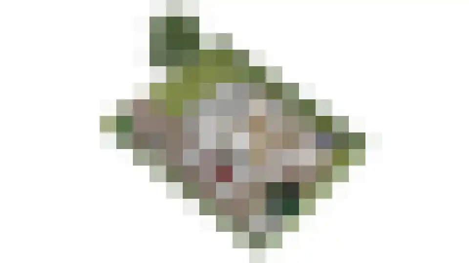 Vilsterborg 4 Holtheme thumbnail 85