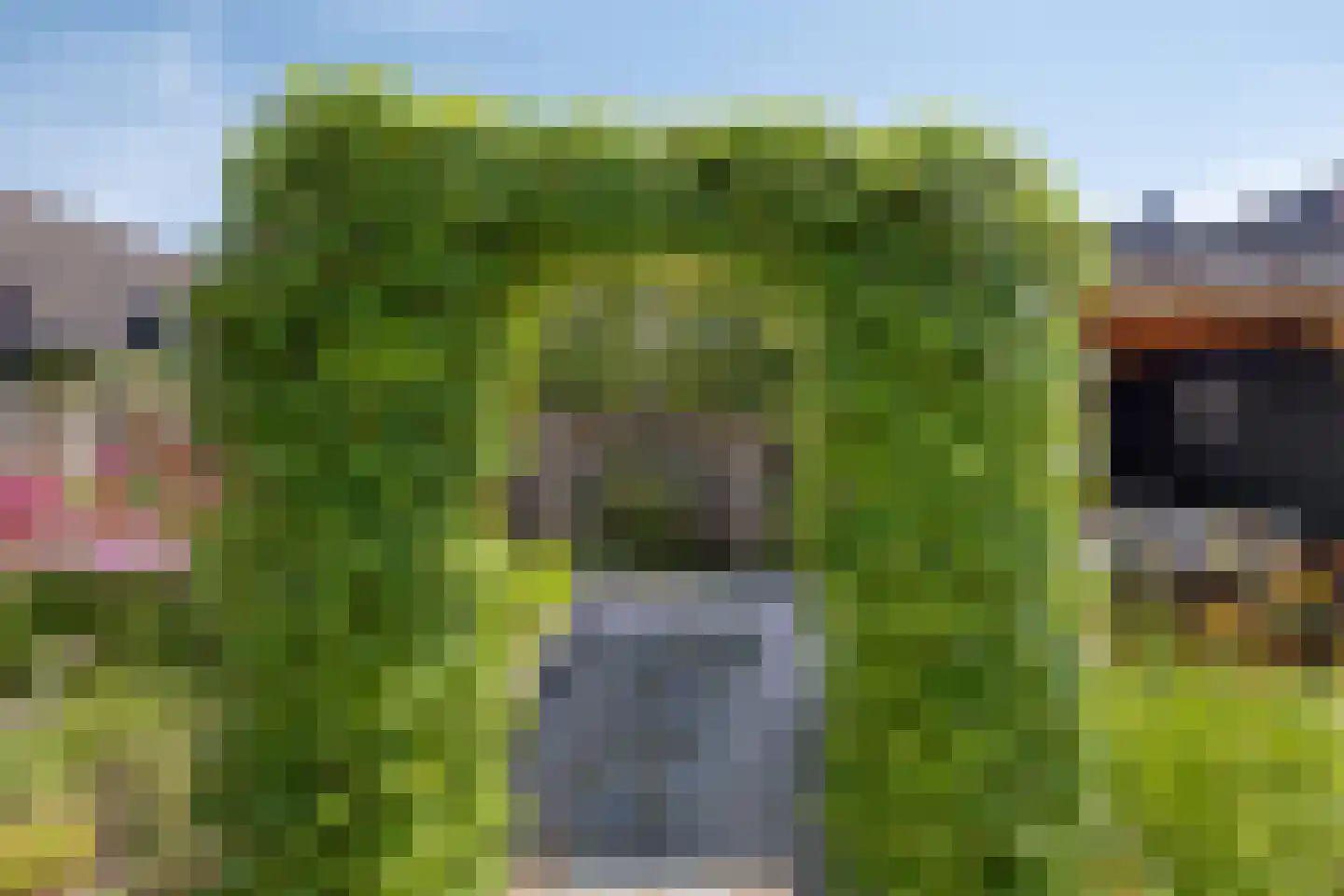 Vilsterendreef 12 Helmond thumbnail 32