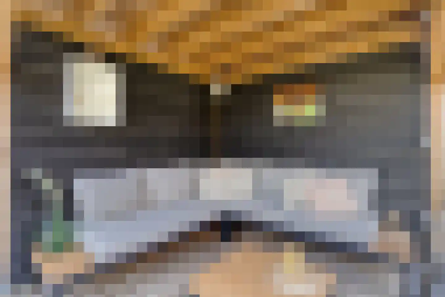 Vilsterendreef 12 Helmond thumbnail 35