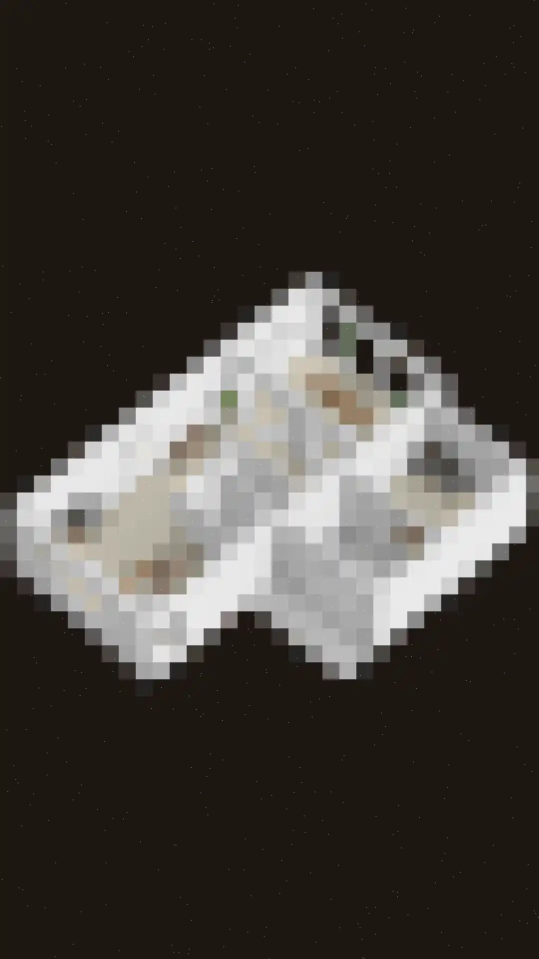 Vilsterendreef 12 Helmond thumbnail 41